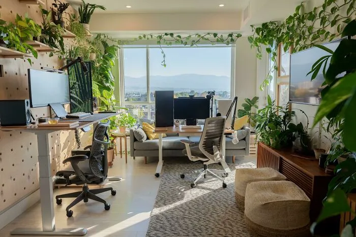 My Overgrown Living Room Setup Featuring My Fiancée's Mobile Sit/Stand Desk Setup