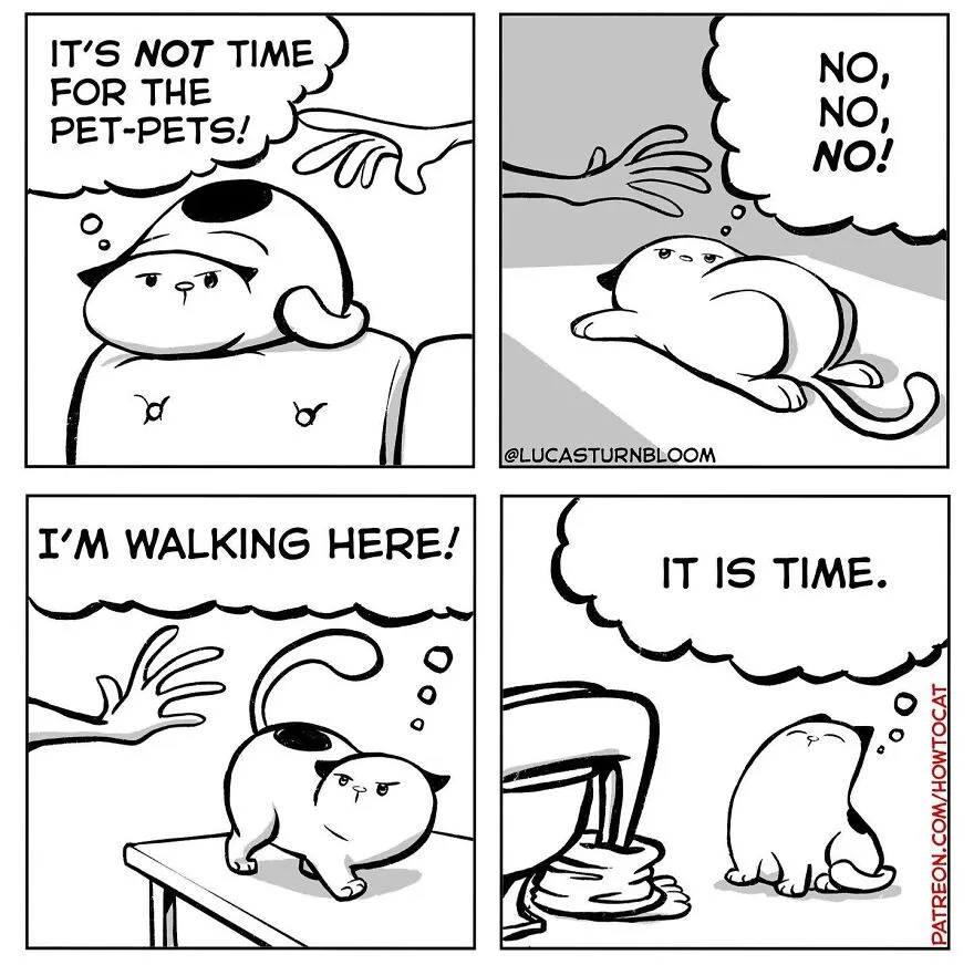 40 Relatable Comics If You've Ever Had A Cat, Created By This Artist (New Pics)