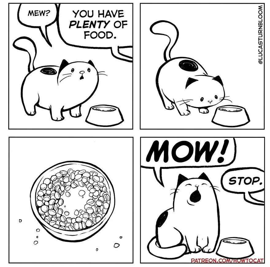 40 Relatable Comics If You've Ever Had A Cat, Created By This Artist (New Pics)