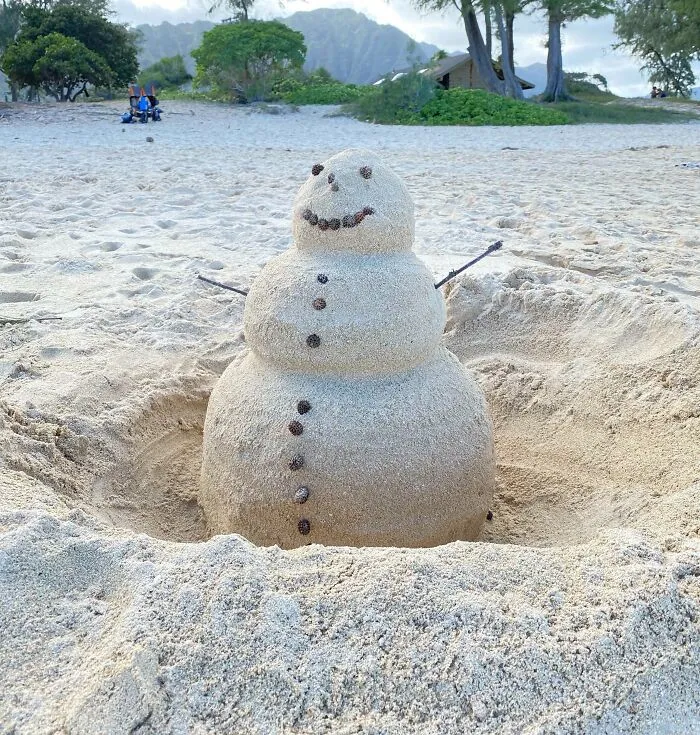 Christmas In Hawaii