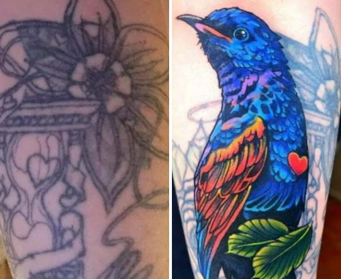 First Session Cover Up!
