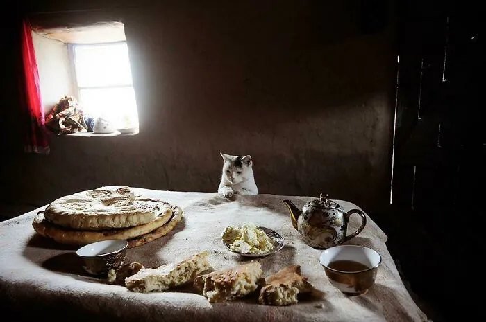 Surveying The Feast