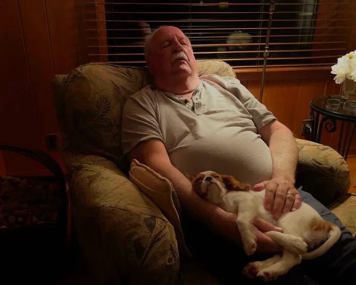 Old Man And His Dog