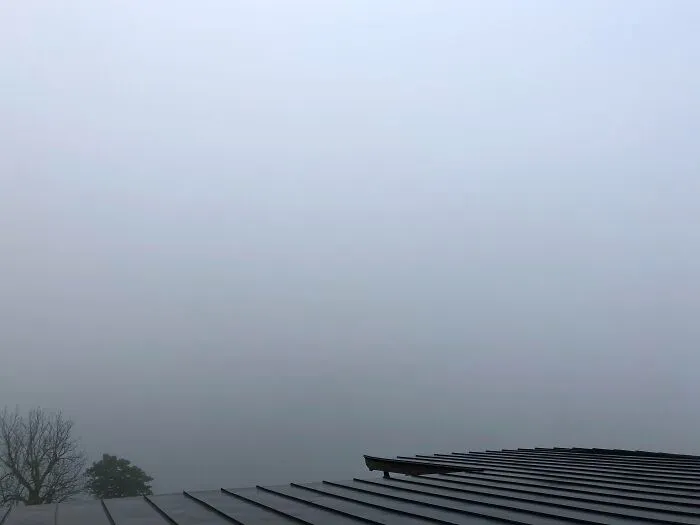Reservé una habitación de hotel con buenas vistas para tener un Año nuevo especial con mi esposa