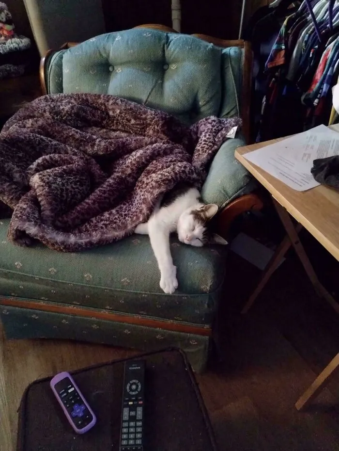 Adopted This Guy A Couple Days Ago, He Seems To Be Settling In Well :)