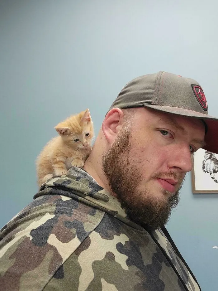 Rescued Barn Cat