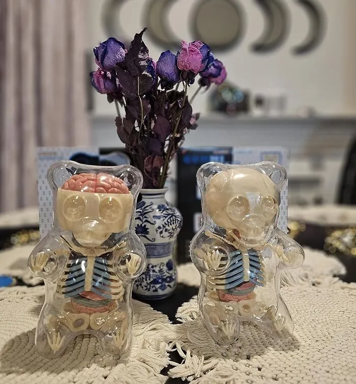 Put On Your Smarty-Pants Glasses, We're Going 'Beary' Deep With <a Style="Display:inline;" Href="Https://Www.amazon.com/Dp/B00fyv8elm?&linkcode=ll1&tag=bpcrab-20&linkid=a46c5520ec3ac2ebf211046a444d7ec0&language=en_us&ref_=as_li_ss_tl   " Target="_blank"><span Style="Font: Inherit; Color: #d74b1f;">  The 4d Master Gummi Bear Skeleton Anatomy Model Kit</Span>! Now, That's What I Call 'Bear-Bone' Anatomy