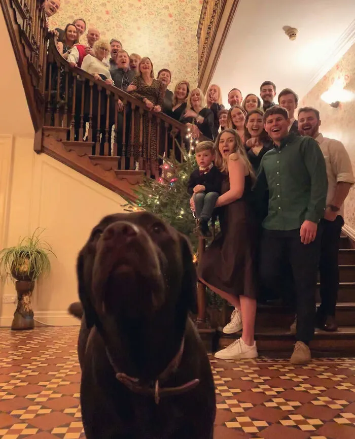 New Year's Photobomb