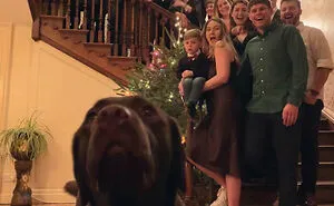 50 People Probably Having A Worse Day Than You On New Year’s