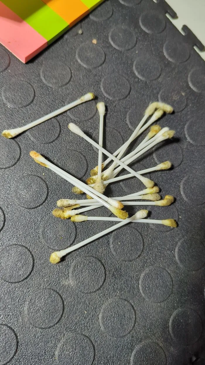 My Coworker Cleaned His Ears At Work This Afternoon