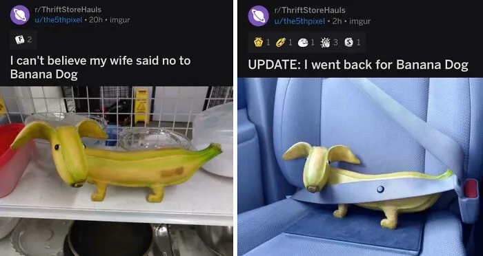Banana Dog