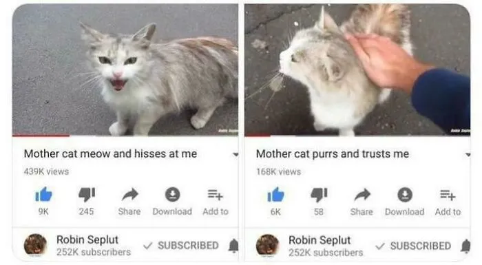 Purr Arc