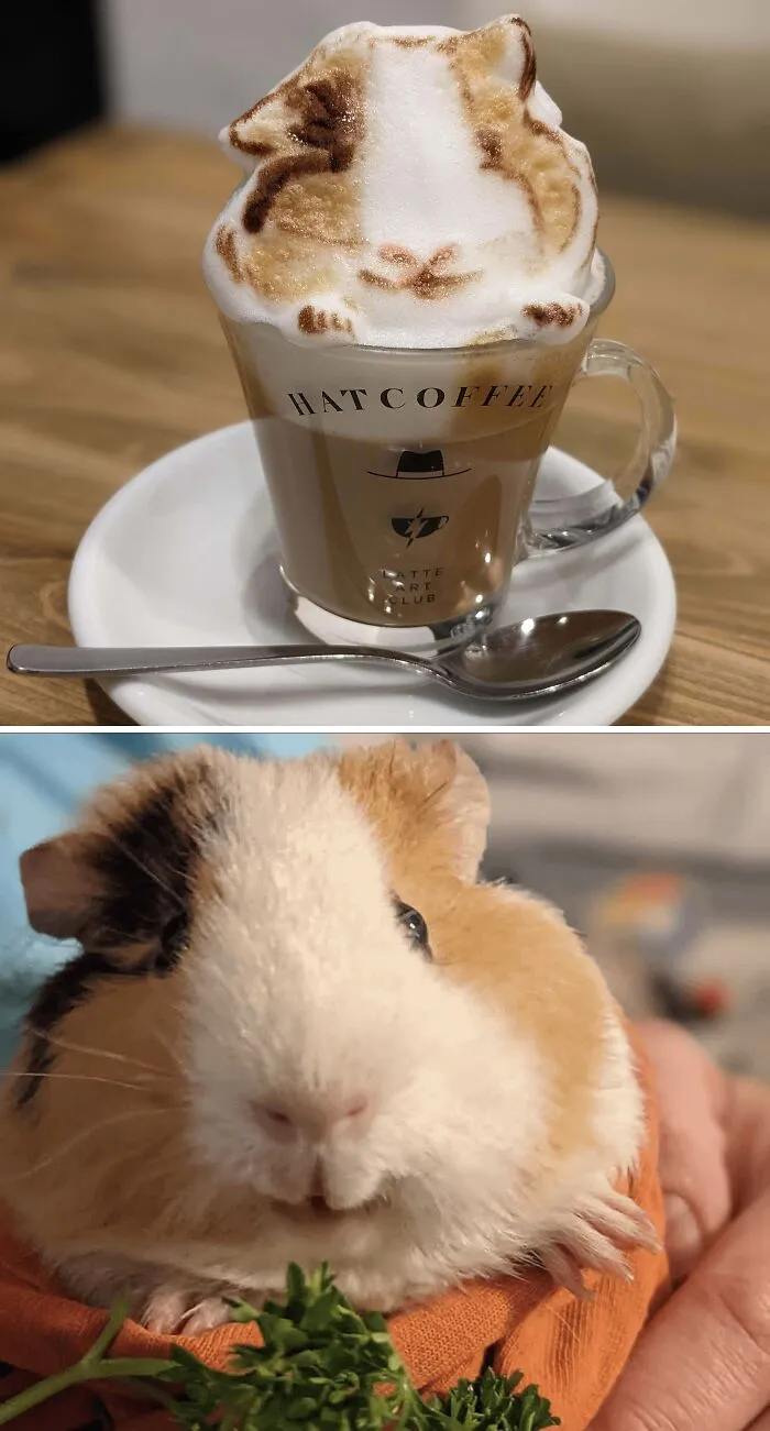 50 Times Latte Art Was So Impressive, It Looked Almost Too Good To Drink
