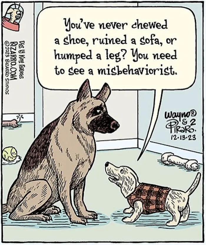 35 Silly And Funny “Bizarro” Comics About Absurd Situations (New Pics)