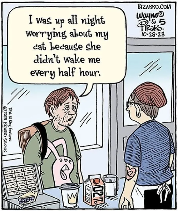 35 Silly And Funny “Bizarro” Comics About Absurd Situations (New Pics)