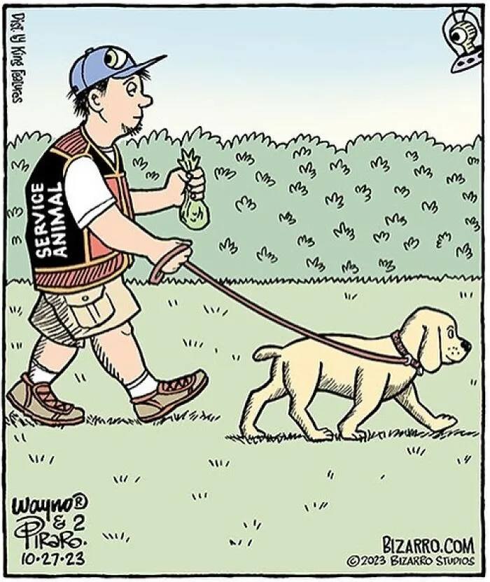 35 Silly And Funny “Bizarro” Comics About Absurd Situations (New Pics)