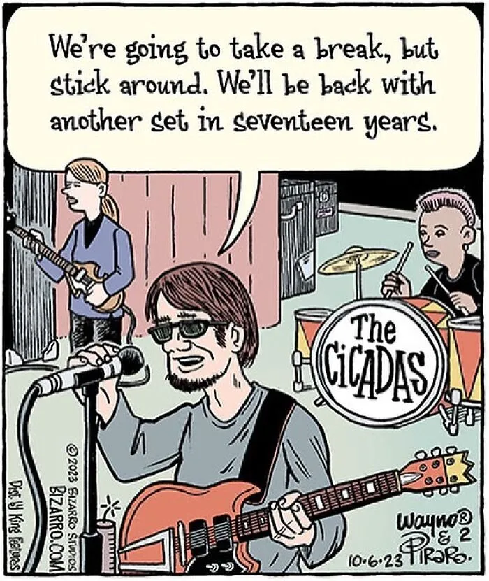 35 Silly And Funny “Bizarro” Comics About Absurd Situations (New Pics)