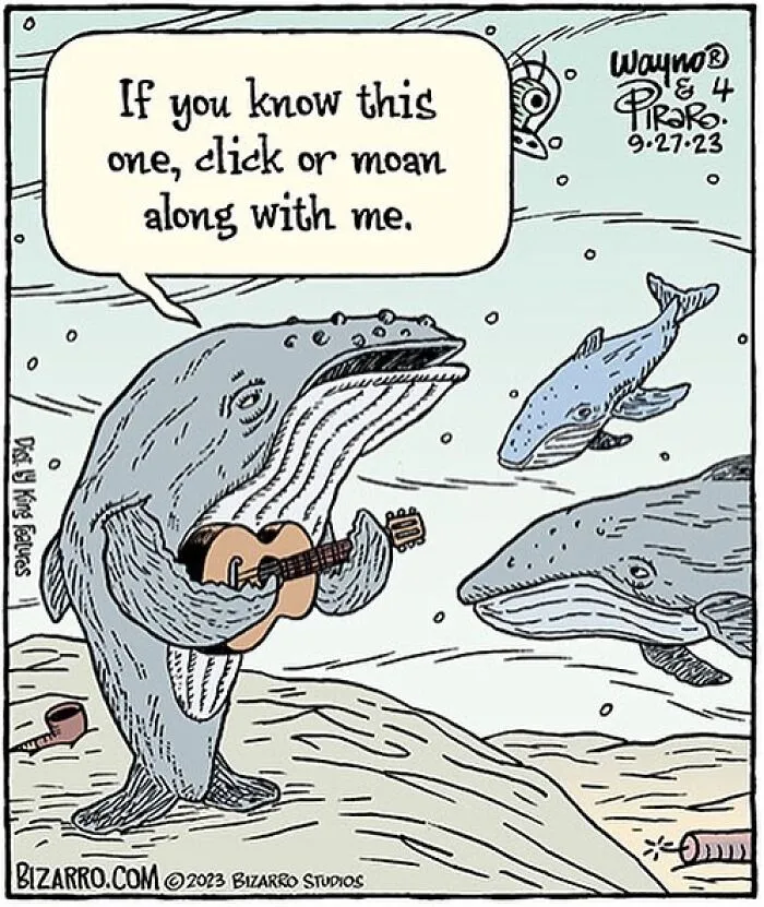 35 Silly And Funny “Bizarro” Comics About Absurd Situations (New Pics)