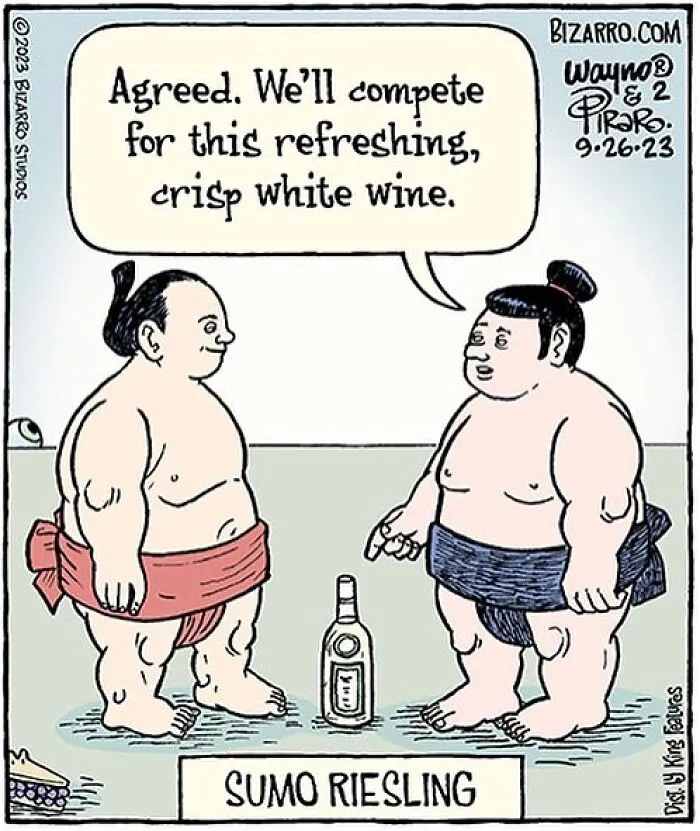 35 Silly And Funny “Bizarro” Comics About Absurd Situations (New Pics)