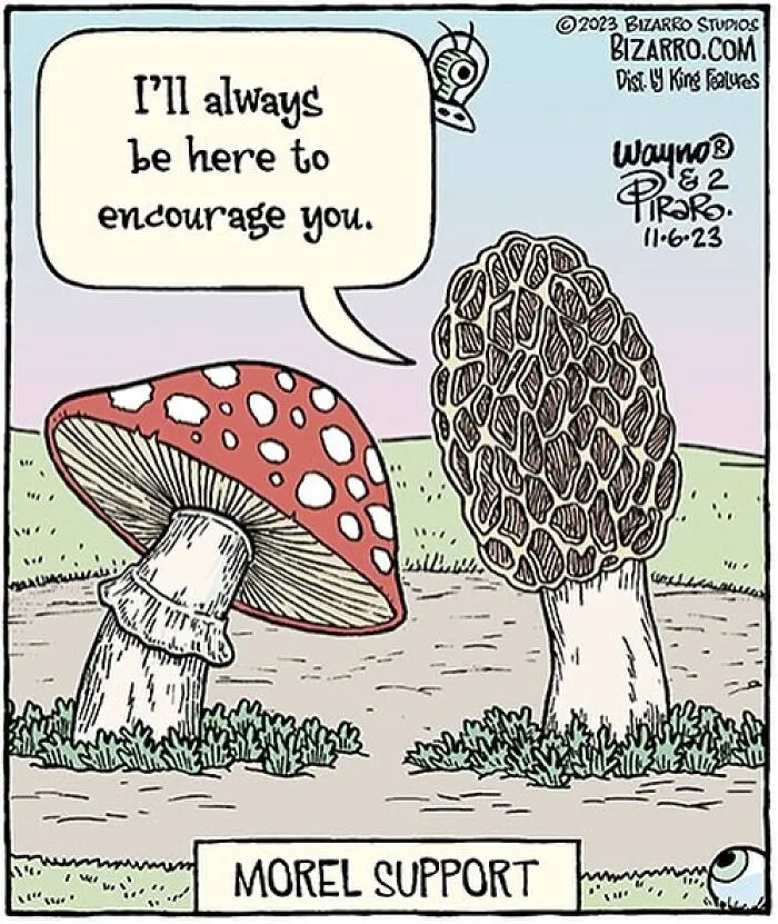 35 Silly And Funny “Bizarro” Comics About Absurd Situations (New Pics)