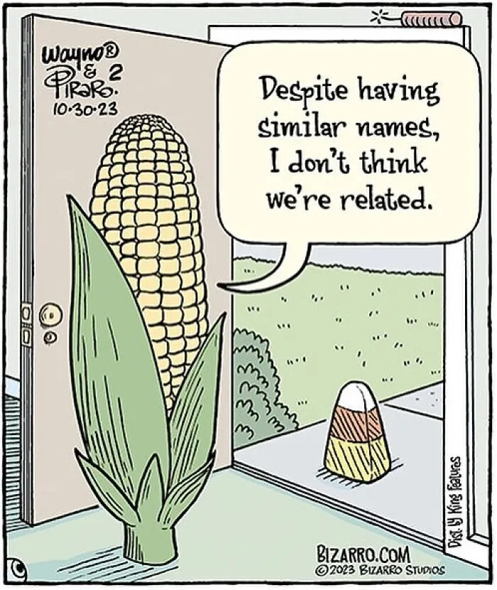 35 Silly And Funny “Bizarro” Comics About Absurd Situations (New Pics)
