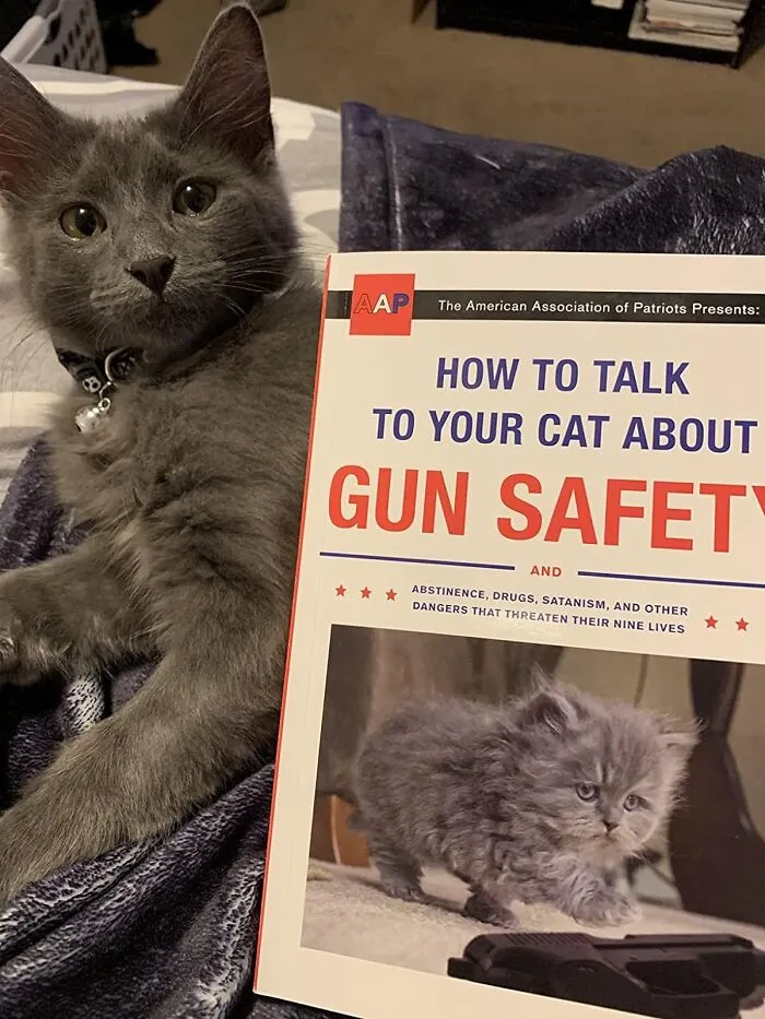 Really? A Guide On Discussing Gun Safety And Satanism With Your Cat? You're Honestly Considering Teaching Fluffy About The Nine Circles Of Hell And Protection Against Firearm Misuse? Okay Then, Here You Go: <a Style="Display:inline;" Href="Https://Www.amazon.com/How-Talk-Your-About-Safety/Dp/045149492x?crid=1lankuxdhsbyr&keywords=how+to+talk+to+your+cat&qid=1703662816&sprefix=how+to+talk+to+yo%2caps%2c192&sr=8-1&linkcode=ll1&tag=bpcrab-20&linkid=9bb983a7f3921dce04e80563953a2b90&language=en_us&ref_=as_li_ss_tl   " Target="_blank"><span Style="Font: Inherit; Color: #d74b1f;"> How To Talk To Your Cat About Gun Safety And Other Dangers!</Span> 