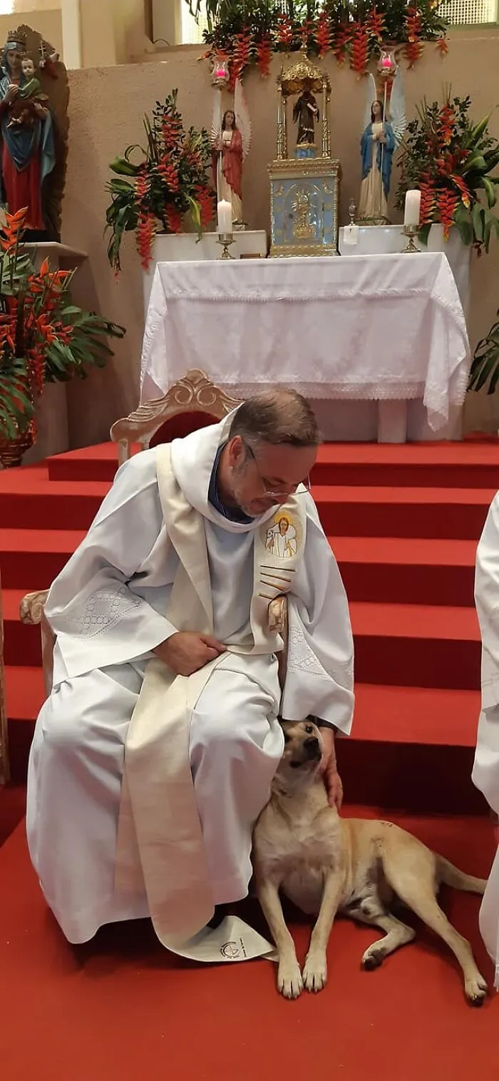 Loving Priest Turns Church Services Into Adoption Fairs For Stray Dogs (21 New Pics)