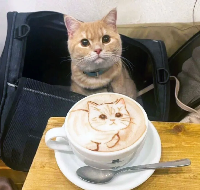 50 Times Latte Art Was So Impressive, It Looked Almost Too Good To Drink