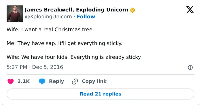 35 Funny Tweets That Capture The Authenticity Of The ‘Magical’ Christmas Tree Decorating Season