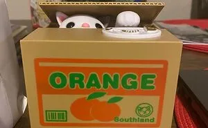 Funny Products To Make Your 2024 Funnier