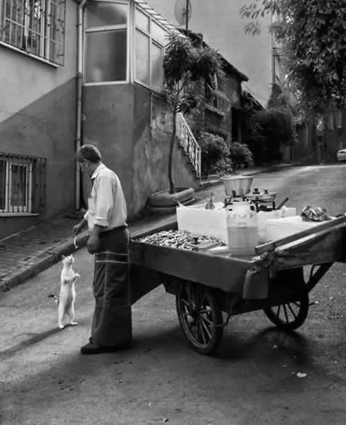This Instagram Account Continues To Share Highly Amusing Street Photos; Here Are Their 49 Newest Ones