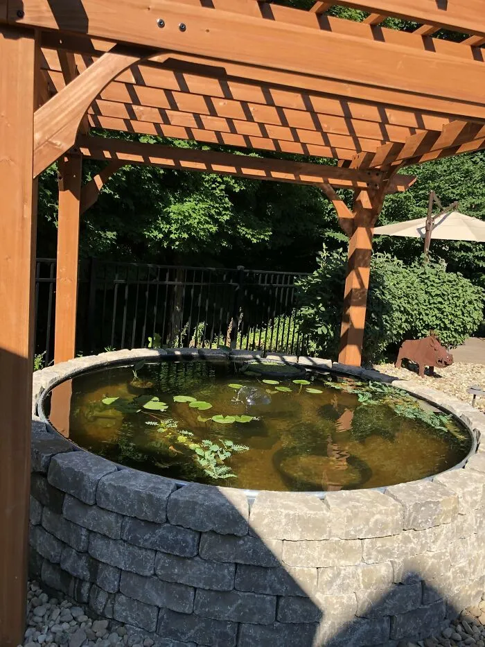 A Small Lotus Pond