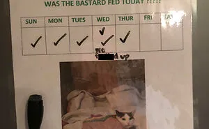 50 Posts From People Who Shamed Their Roommates Online And Rightfully So