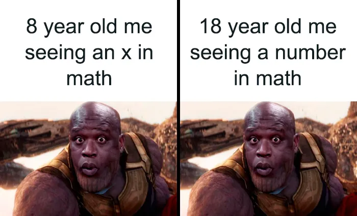 Split image meme depicting reactions to algebra in math; humorous take on understanding physics.