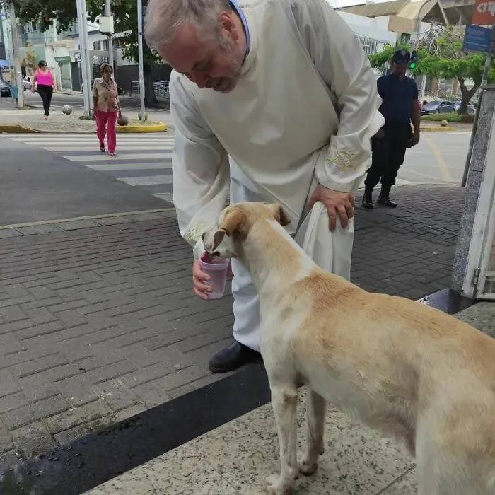 Loving Priest Turns Church Services Into Adoption Fairs For Stray Dogs (21 New Pics)