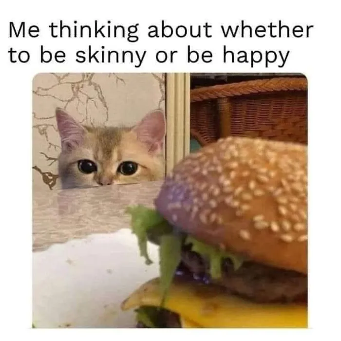 Cat humorously eyeing a burger, contemplating happiness. Relatable meme with a cat and food theme.