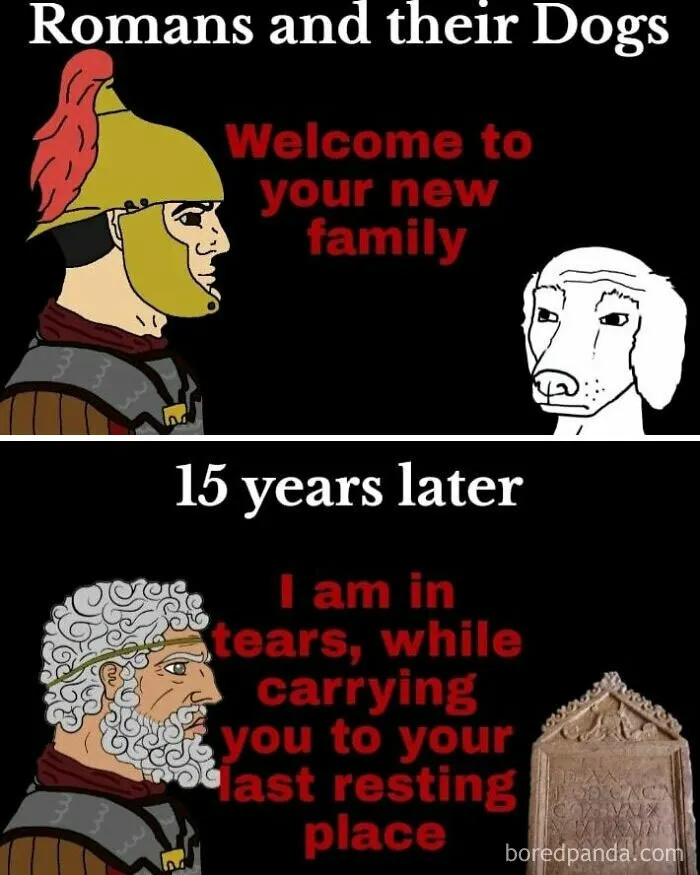 30 Hilarious Memes About Historical Moments To Teach You Something As You Cackle