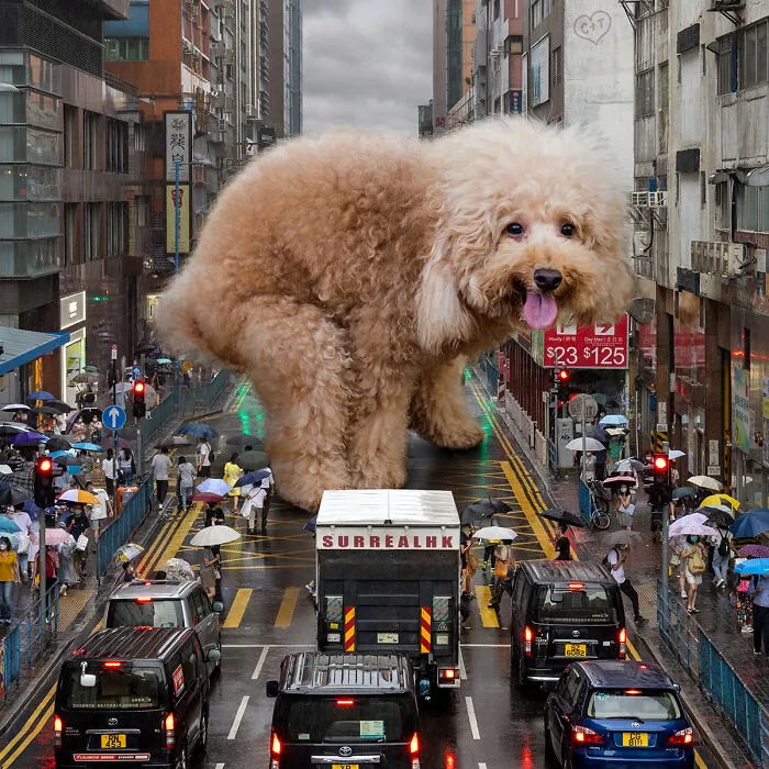 This Artist Reimagined Hong Kong With Giant Animal Residents In His Surreal Depictions (30 Pics)