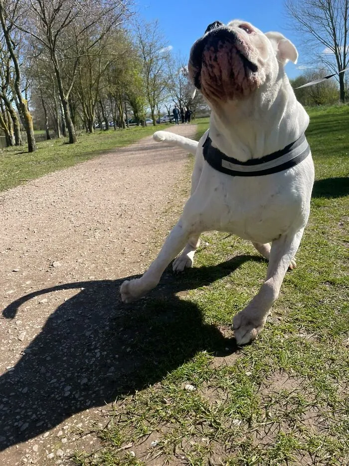 Max...living His Best Life