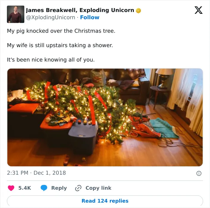 35 Funny Tweets That Capture The Authenticity Of The ‘Magical’ Christmas Tree Decorating Season