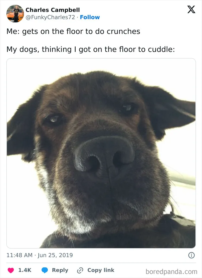35 Wholesome Memes To Restore Your Faith In Humanity