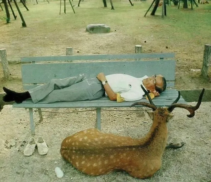 This Instagram Account Continues To Share Highly Amusing Street Photos; Here Are Their 49 Newest Ones