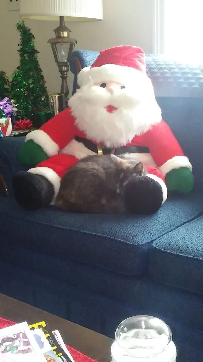 Sleeping In Santa's Lap