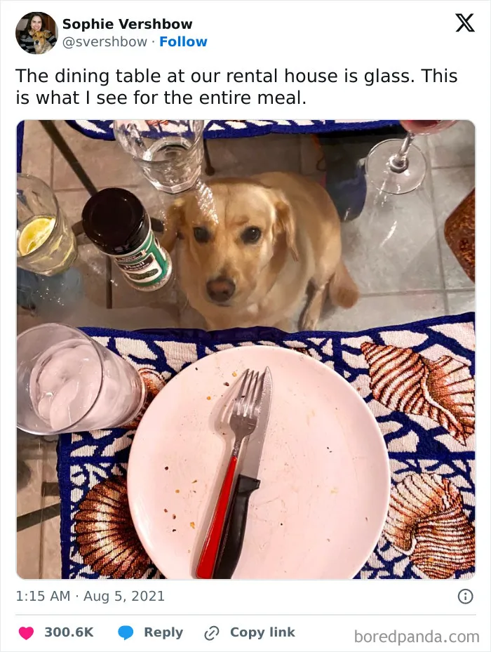 50 Hilarious Memes For All Of Us To Relate To, As Shared By This Facebook Group