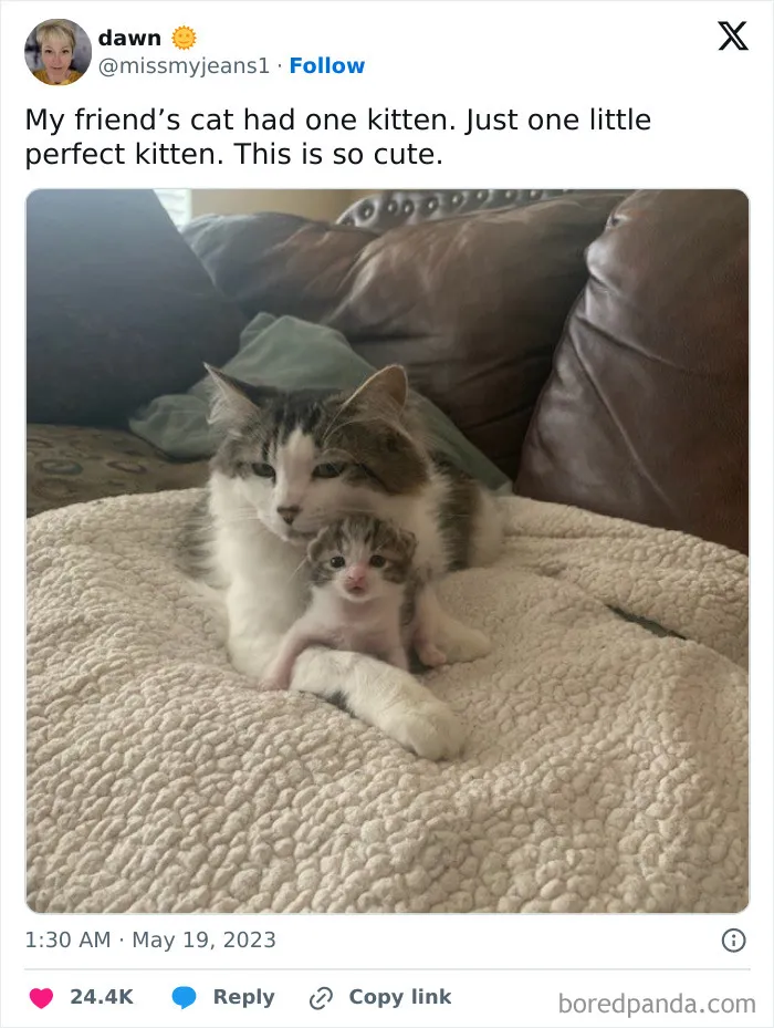 35 Wholesome Memes To Restore Your Faith In Humanity