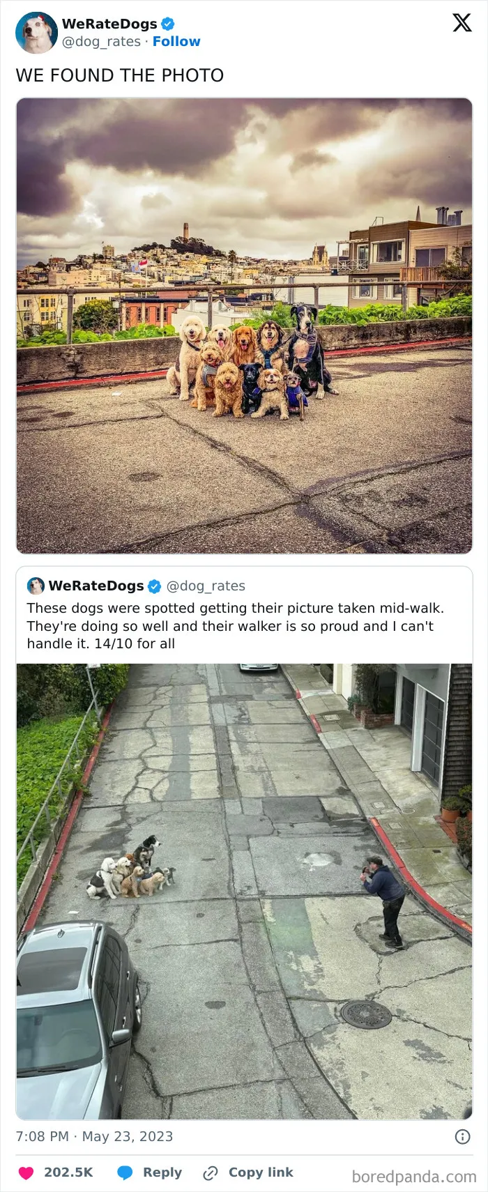 50 Hilariously Wholesome Dog Ratings To Brighten Up Your Day (New Pics)