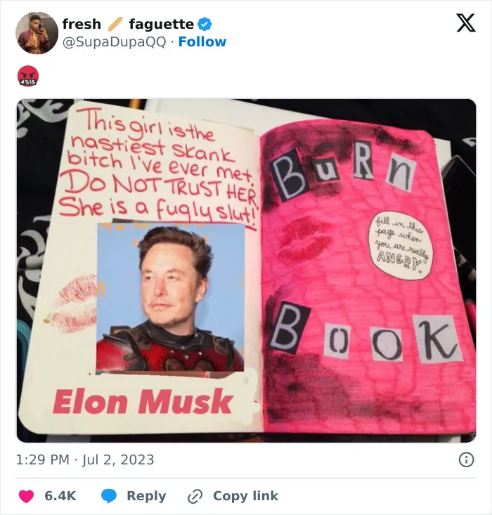 Elon Musk in the Burn Book: Meme of the Month