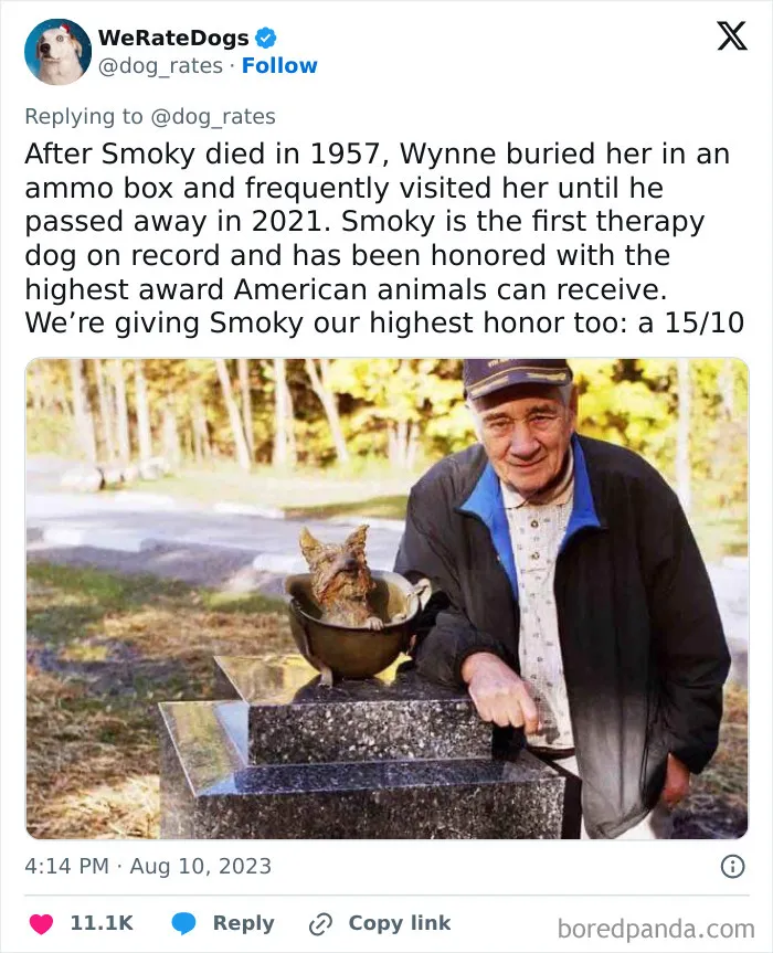 50 Hilariously Wholesome Dog Ratings To Brighten Up Your Day (New Pics)