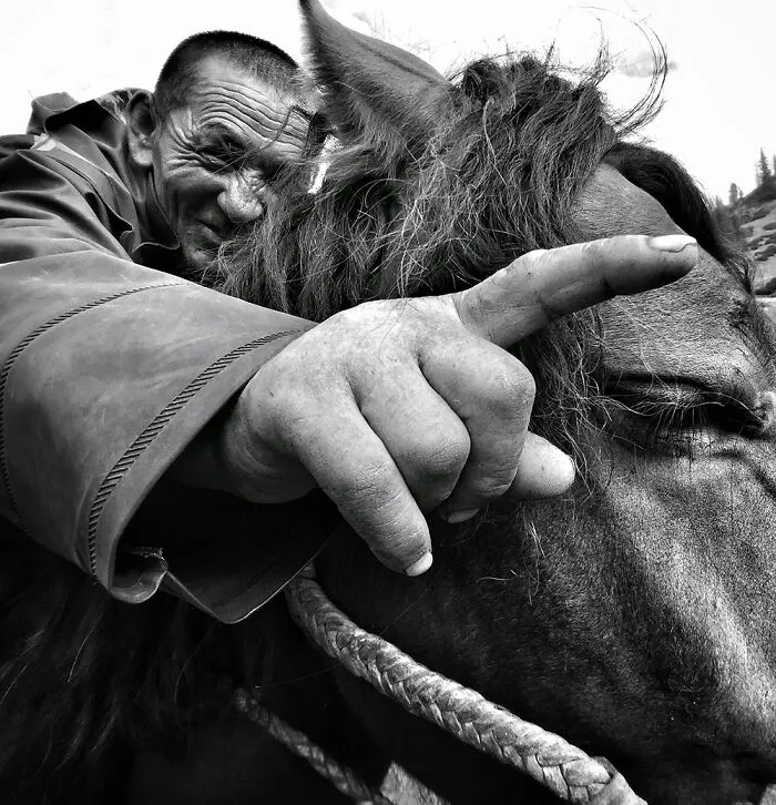 Born To Be A Nomad By Yongmei Wang