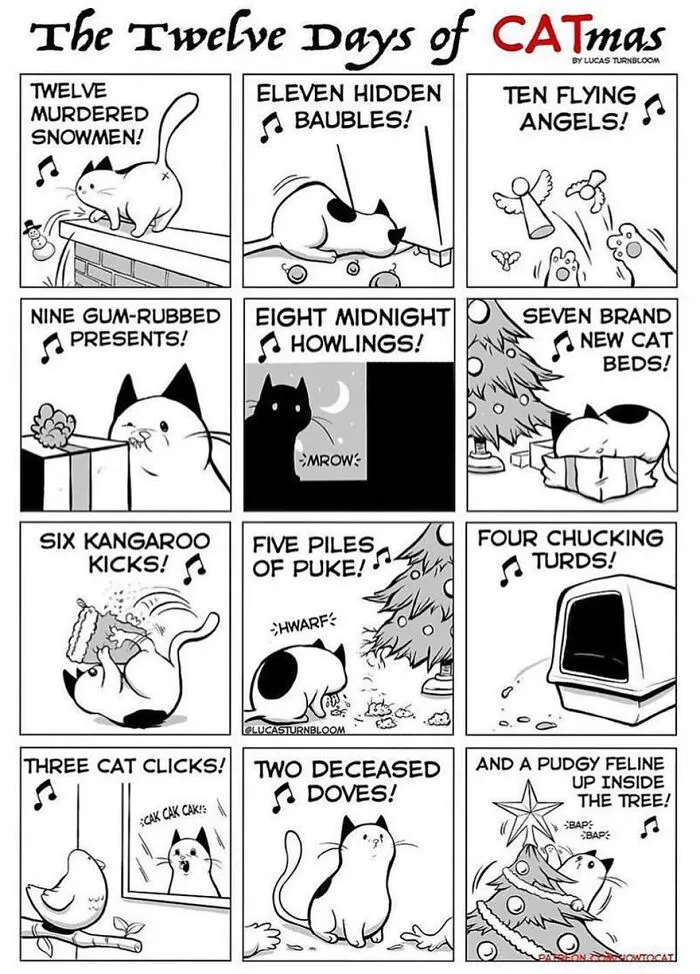 40 Relatable Comics If You've Ever Had A Cat, Created By This Artist (New Pics)